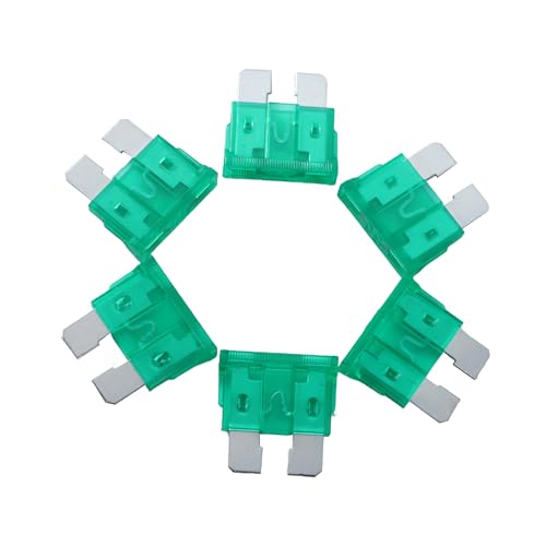 100 Pack Auto Fuses 30 AMP ATC