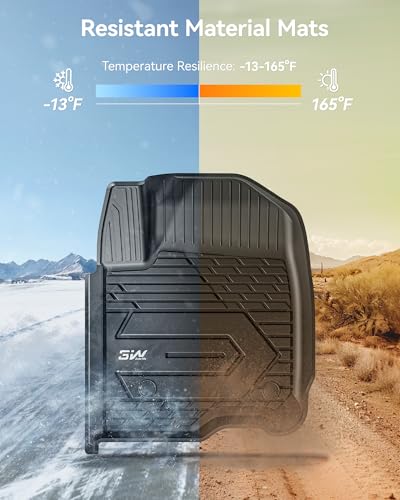 Floor Mats Fit for 2019