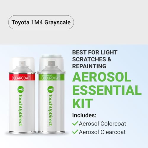 Car Paint Touch Up Spray Kit
