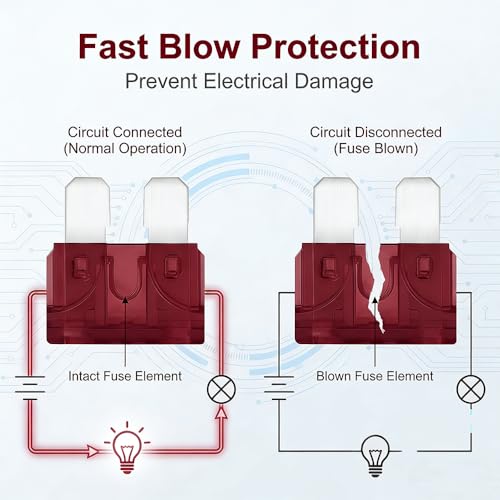 80Pcs) 40 Amp Standard Fuse, 40A Car Blade Fuses for Car/RV/Truck/SUV/Motorcycle/Boat