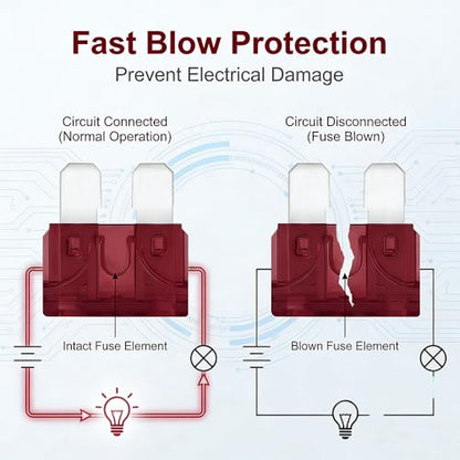 80Pcs) 40 Amp Standard Fuse, 40A Car Blade Fuses for Car/RV/Truck/SUV/Motorcycle/Boat