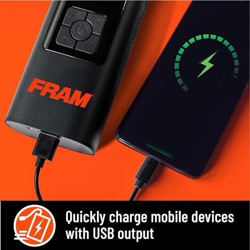 FEK40002 Portable Emergency Tire Inflator with 6000mAh Battery and 12V