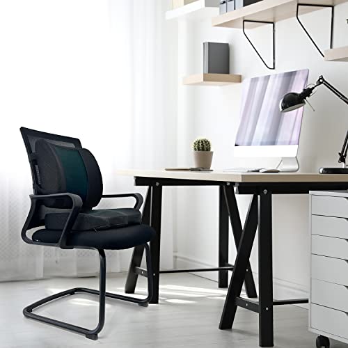 Comfortable Seat Cushion & Lumbar Support for Office Chairs (2 Count)