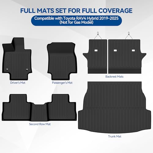 Custom Fit Floor Mats for Toyota RAV4 Hybrid 2019