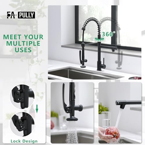 Black Kitchen Faucet