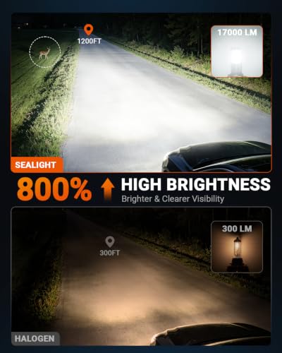 H10 LED Fog Light Bulbs