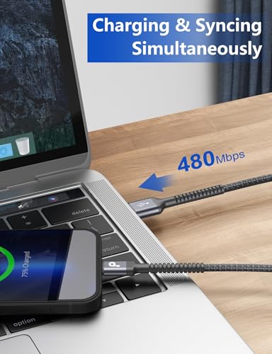 iPhone Charger (2 Count)