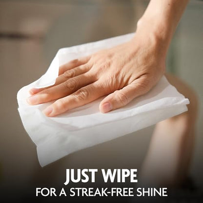 Wipes Glass Cleaning Ammonia Free (25 Count)