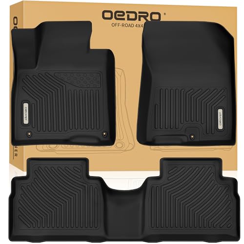 Floor Mats Fit for 2019