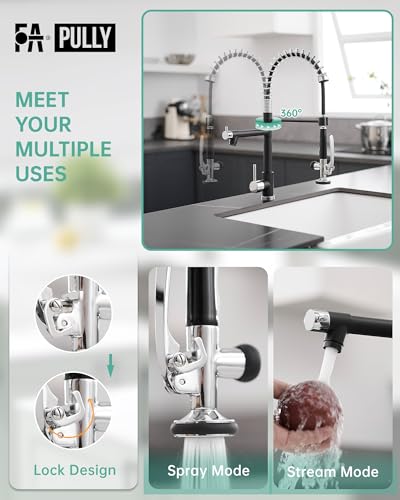 Kitchen Sink Faucet