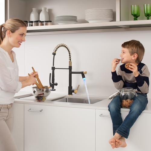 LED Kitchen Faucet with Pull Down Sprayer