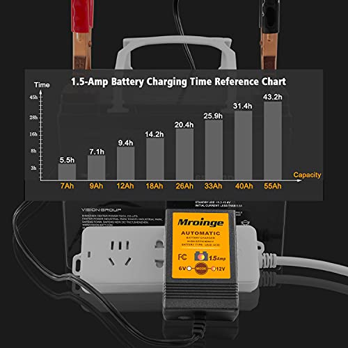 Smart Battery Charger
