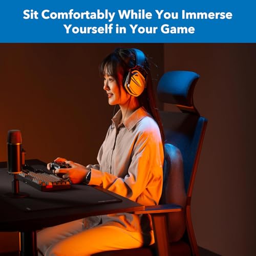 Office Chair Cushion
