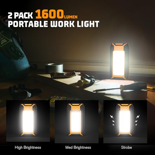 2 Pack Rechargeable LED Work Light (2 Count)