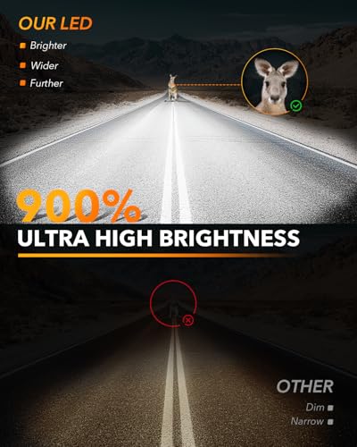D1S LED Bulbs (2 Count)