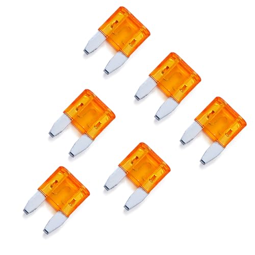 100 Pack Auto Fuses 5 AMP APM (100 Count)