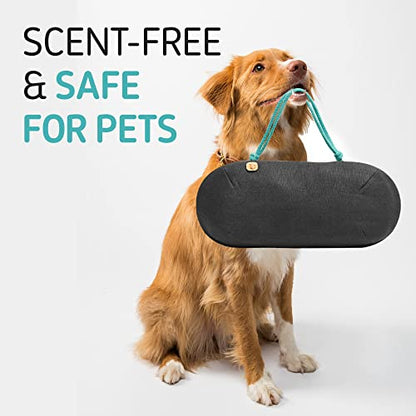 Car Air Freshener