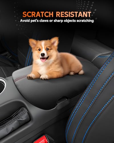 for Ford Mustang 2024