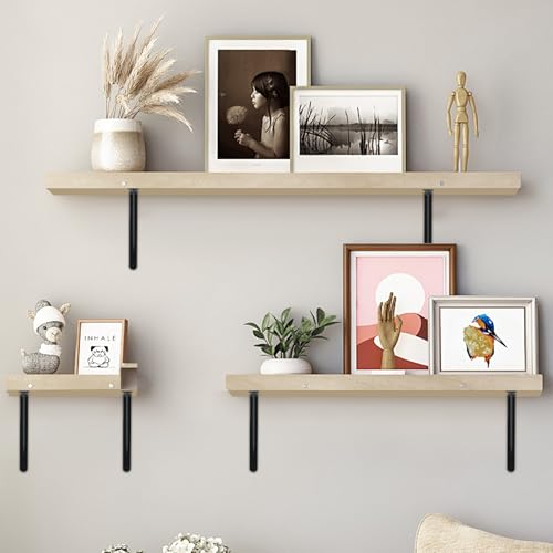 24 Pack L22 x H 12" Black Heavy Duty Shelf Brackets with Screws Metal Shelf Brackets Shelf Support Angle Brackets for Shelves L Brackets Heavy Duty Floating Shelf (24 Count)