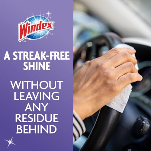 Wipes Glass Cleaning Ammonia Free (25 Count)