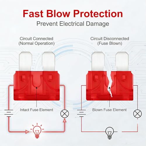 80Pcs) 10 Amp Standard Fuse, 10A Car Blade Fuses for Car/RV/Truck/SUV/Motorcycle/Boat (80 Count)