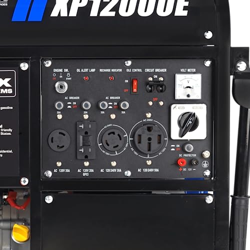 Gas Powered Portable 12000 Watt