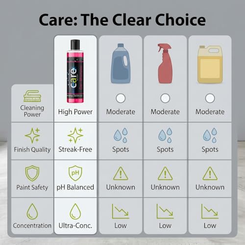 Care Car Shampoo and Soap (16 Fl Oz)