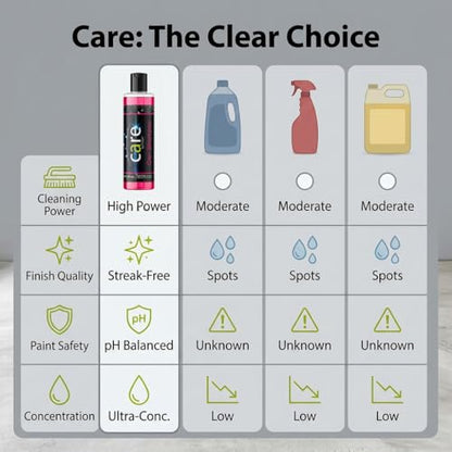 Care Car Shampoo and Soap (16 Fl Oz)