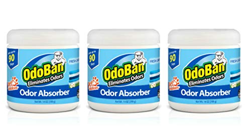 Solid Odor Absorber Eliminator for Home and Small Spaces (42 Ounce)