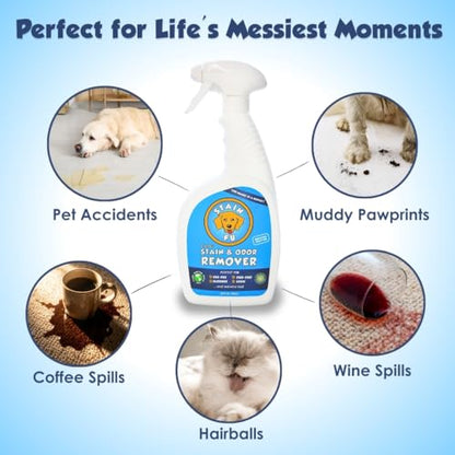 Pet Stain & Odor Remover (24 Fl Oz)