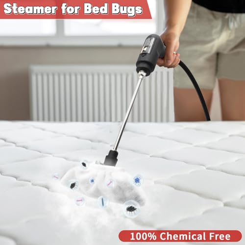 Handheld Steam Cleaner for Home
