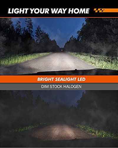 H11 H16 LED Fog Light Bulb (2 Count)