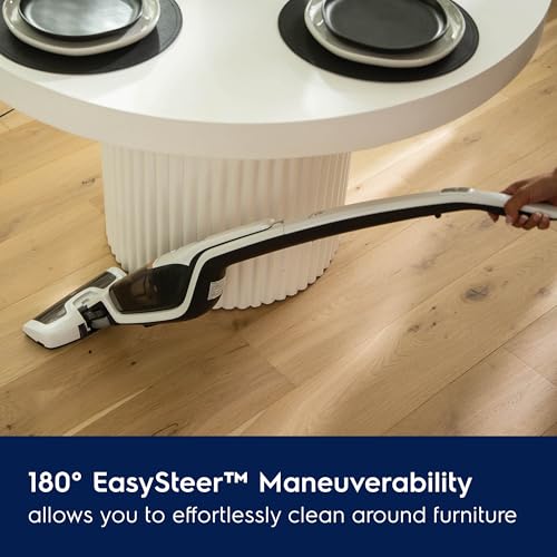 Ergorapido Cordless 2