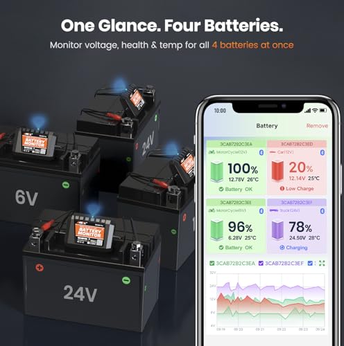 BM300 Pro Battery Monitor