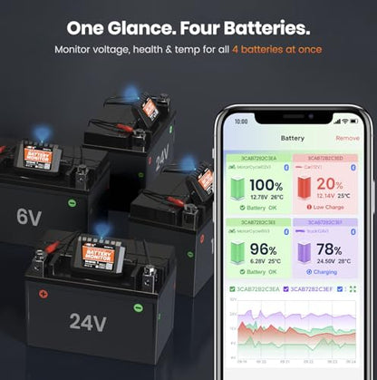 BM300 Pro Battery Monitor