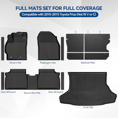 Custom Fit Floor Mats for 2010