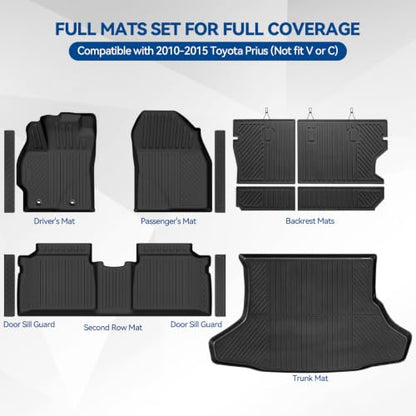 Custom Fit Floor Mats for 2010