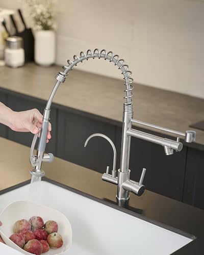 3 in 1 Faucet for Kitchen Sink