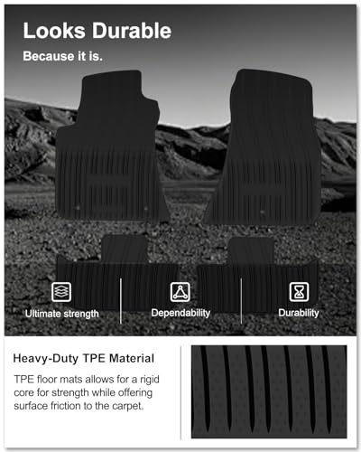 Floor Mats for 2011