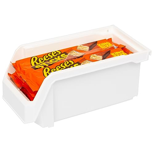 Medium Stackable Plastic Storage Bins (8 Count)