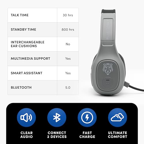 Storm Gray Wireless Trucker Bluetooth Headset with Mic
