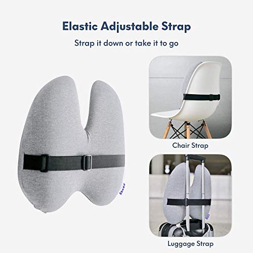 Extra Dense Lumbar Pillow