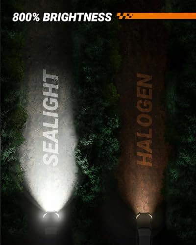 H10 LED Fog Light Bulbs