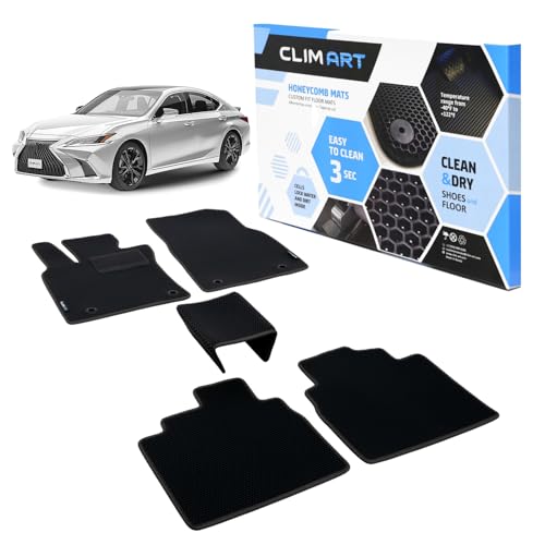 All Weather Car Floor Mats Compatible with Lexus ES 2019
