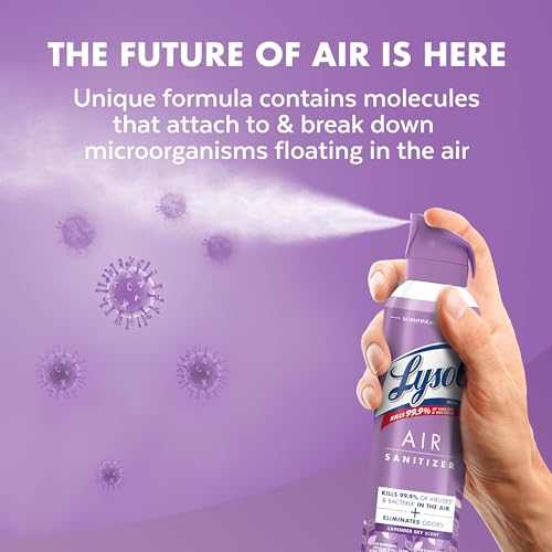 Air Sanitizer Spray (30 Ounce)