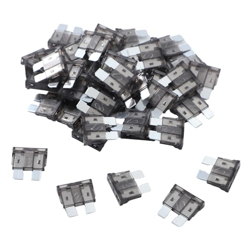 100 Pack Auto Fuses 2 AMP ATC