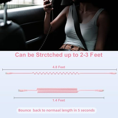 USB C to Lightning Cable 3FT for Car (2 Count)