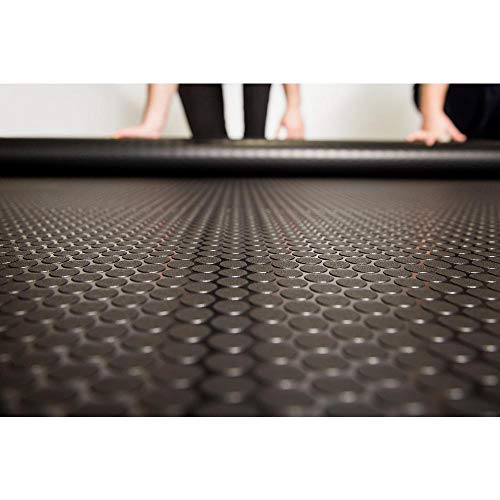 Small Coin Pattern Vinyl Garage Flooring Mat (127.5 Sq Ft)
