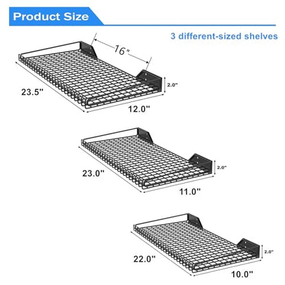 Wall Mounted Storage Shelves