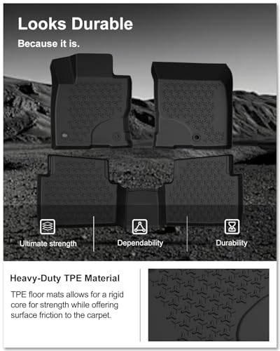 Floor Mats for 2021